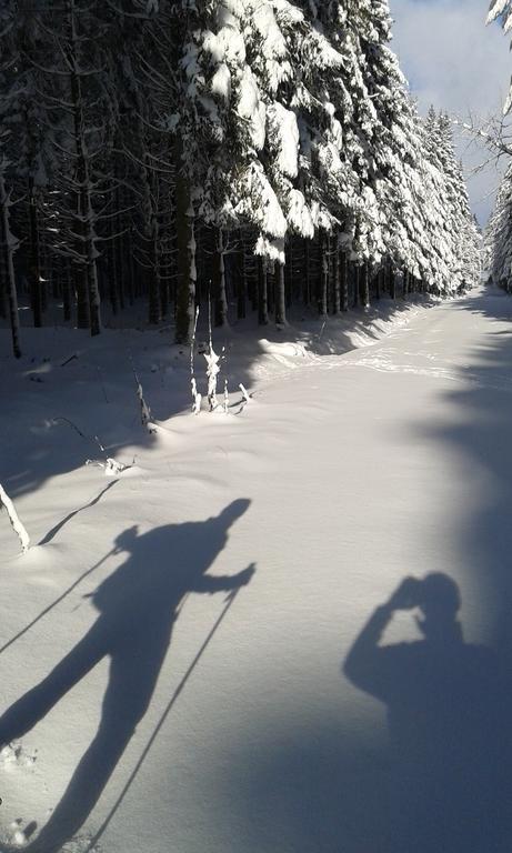 Vila La Grange Du Bout Du Chemin Houffalize Exteriér fotografie