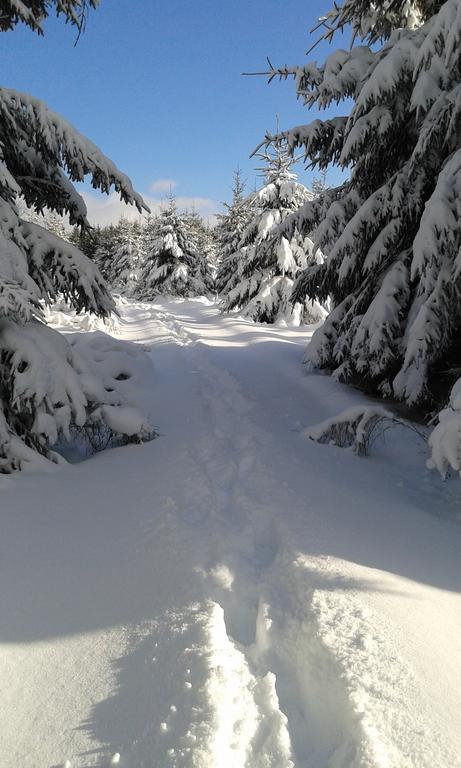 Vila La Grange Du Bout Du Chemin Houffalize Exteriér fotografie
